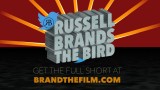 RUSSELL BRANDS THE BIRD Trailer